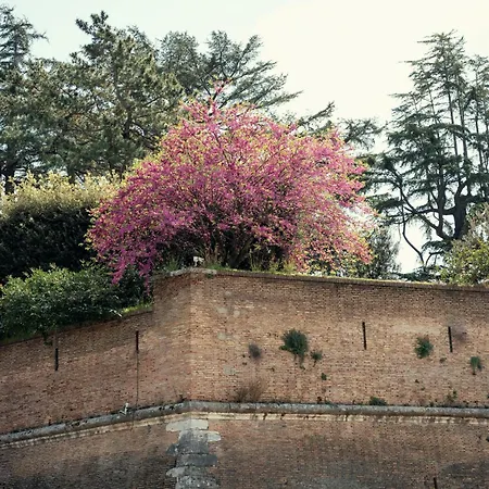 Art House Vaticano Апартаменты Рим